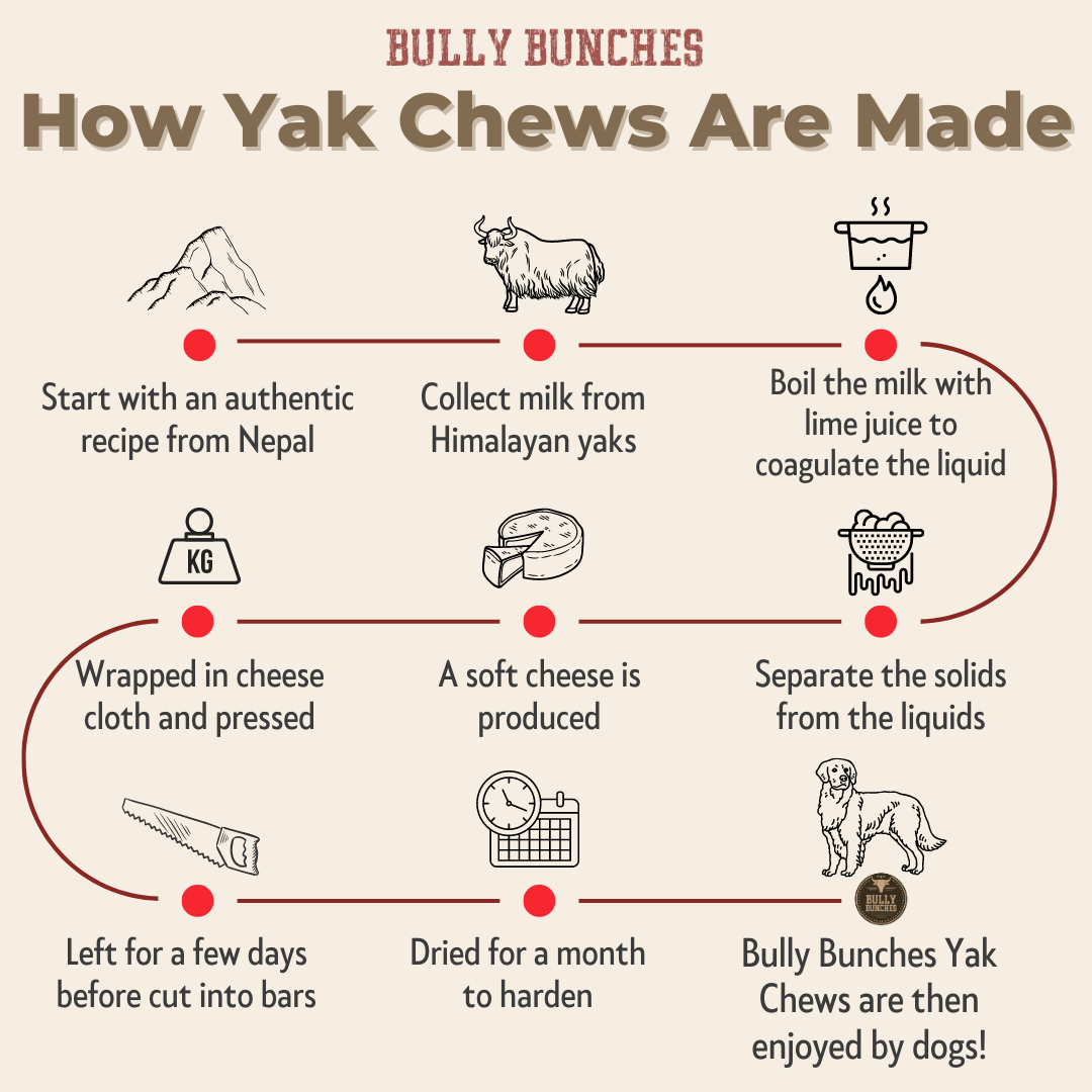 Bully Bunches - Blueberry Himalayan Yak Chew (MEDIUM)