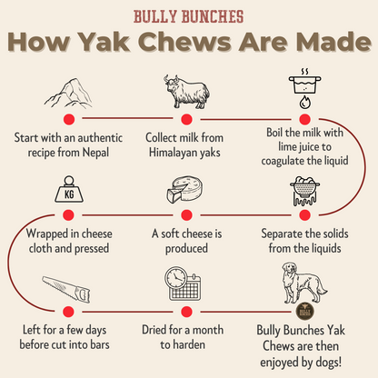 Bully Bunches - Himalayan Yak Chew (LARGE)