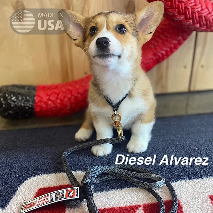 Yankum Ropes 5 Ft Dog Winch Leash - Angler's Pro Tackle & Outdoors