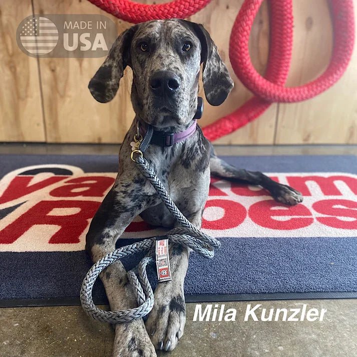 Yankum Ropes 5 Ft Dog Winch Leash - Angler's Pro Tackle & Outdoors