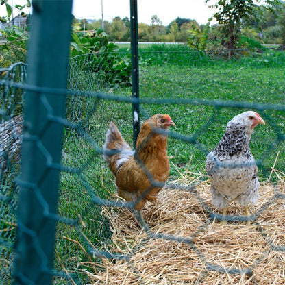 YardGard PVC Coating Hexagonal Poultry Netting for Garden Netting Essentials - Angler's Pro Tackle & Outdoors