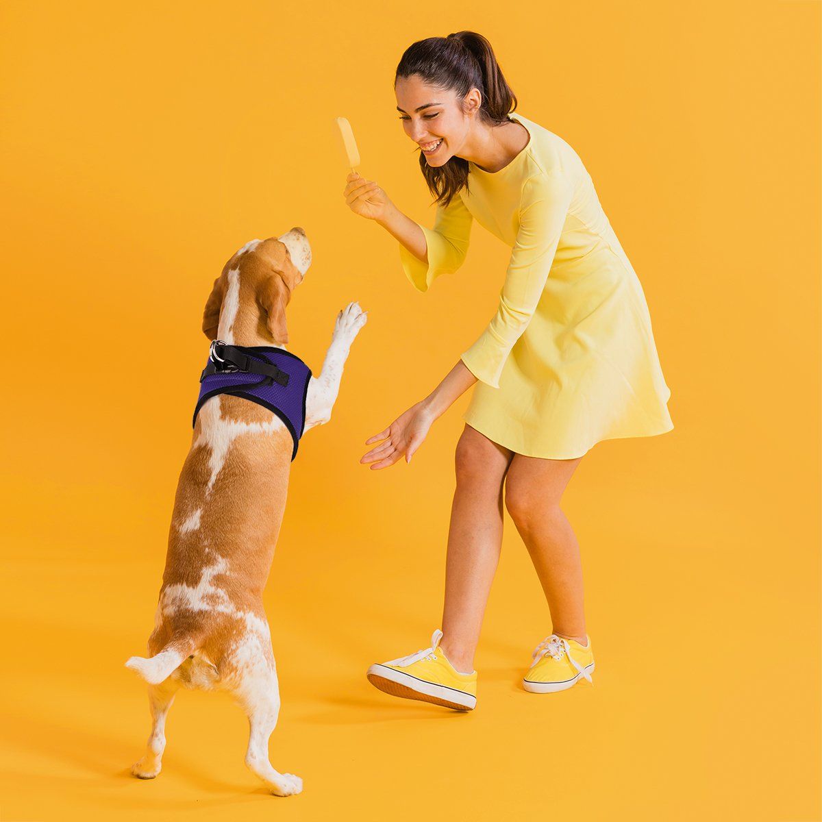 York Mesh Harness - Angler's Pro Tackle & Outdoors