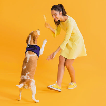 York Mesh Harness - Angler's Pro Tackle & Outdoors