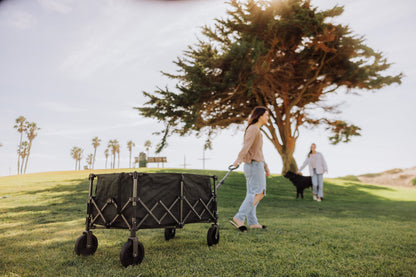 Picnic Time Wilderness Collapsible Folding Wagon